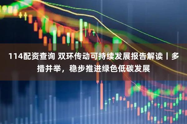 114配资查询 双环传动可持续发展报告解读丨多措并举，稳步推进绿色低碳发展